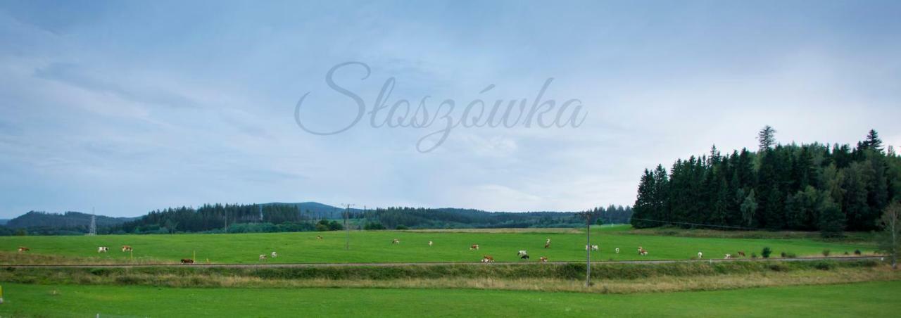 Agroturystyka Sloszowka Duszniki Zdroj Exterior photo